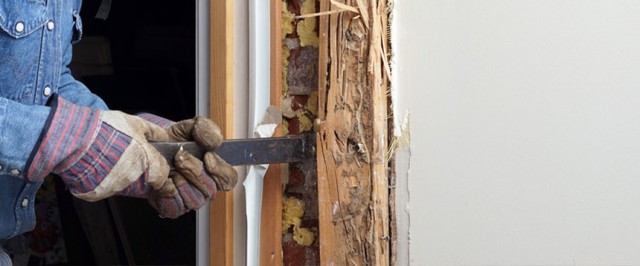 Drywood Termite Treatment Guide (Treat)