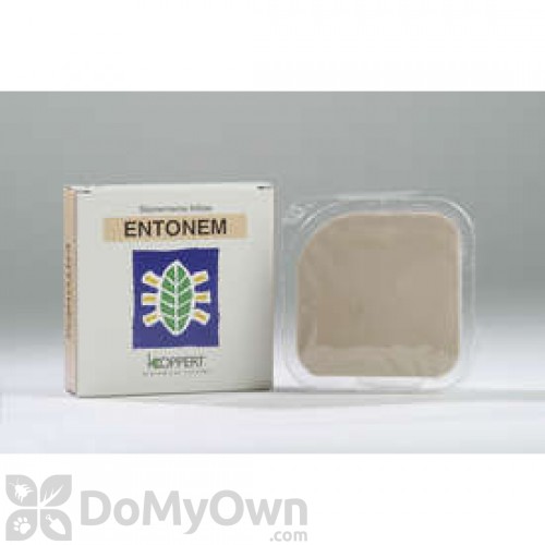ENTONEM - Live Nematodes (Steinernema feltiae)