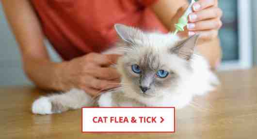 Cat Flea & Tick Control Supplies