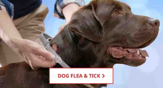 Dog Flea & Tick Control Supplies