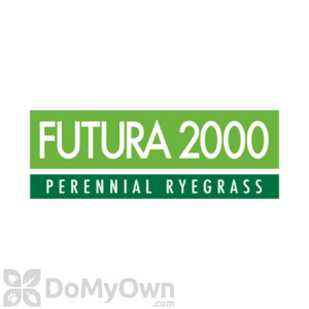 Futura 2000 Perennial Ryegrass