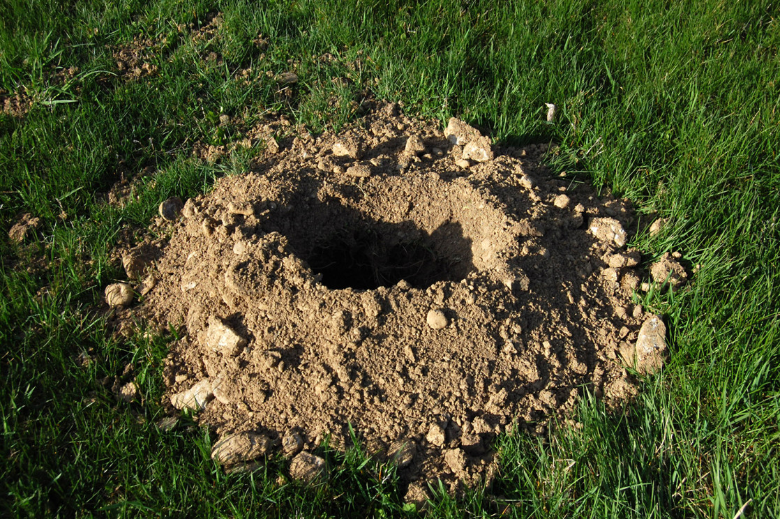 Image of a gopher hole