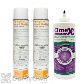 diy flea treatment