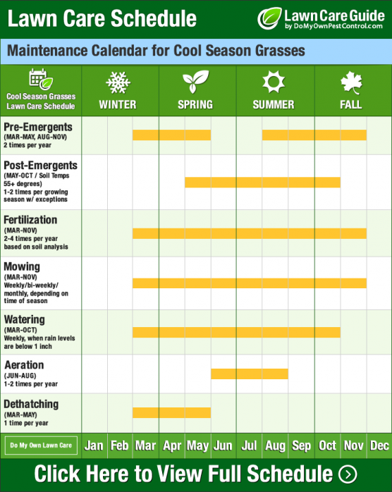 Lawn Care Calendar, Schedule \u0026 DIY Tips 