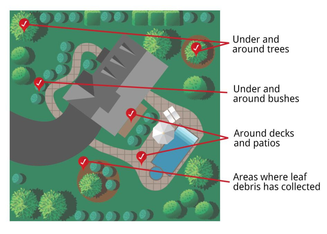 Graphic of areas in the yard to check for damage