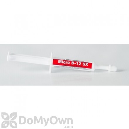 Oralx Micro B - 12 5X