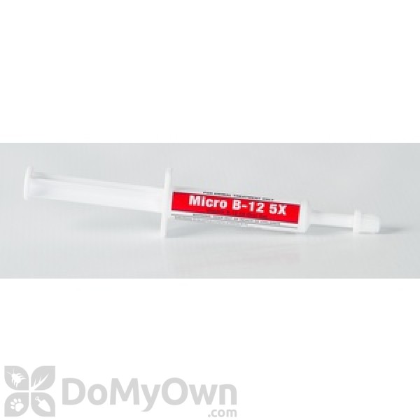 Oralx Micro B - 12 5X