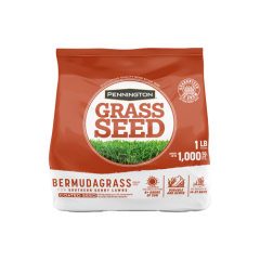 Bermuda Grass Seed