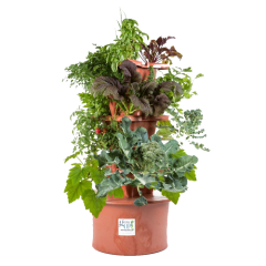 Portable Garden Beds