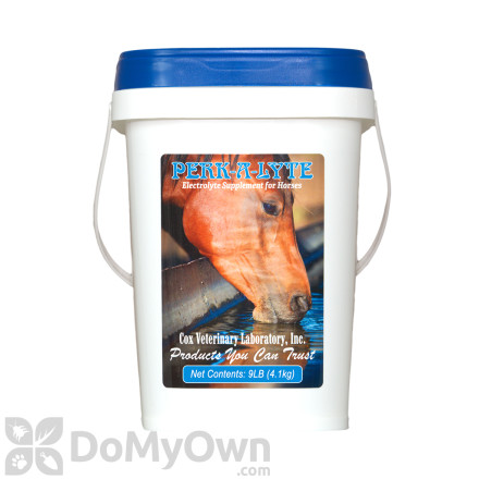 Perk-A-Lyte Electrolyte Supplement For Horses