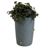Rain Barrels
