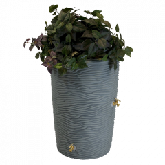 Rain Barrels