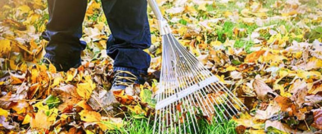 Integrated Pest Management (Prevent)