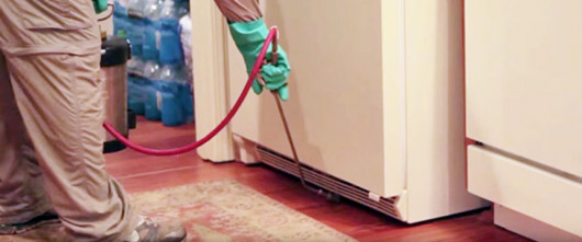 Do It Yourself Pest Control