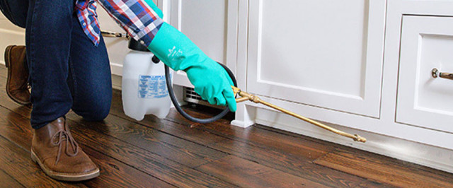 Preventive Pest Control Treatment Plan (Treat)