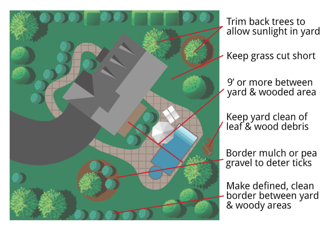 diagram of where to clean so as to prevent ticks
