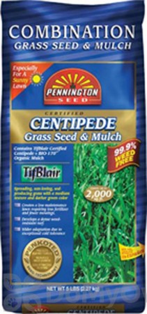Pennington Tifblair Centipede with Mulch