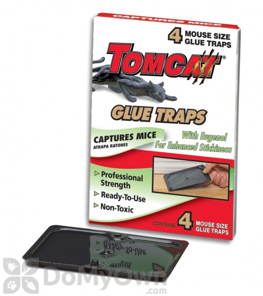 Tomcat Glue Board Mouse Traps, set of 2, Motomco, Glue trap