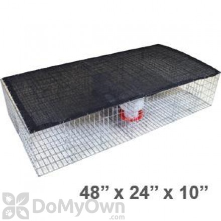 Bird Barrier Large Pigeon Trap with Shade, Water and Feeder (tt-sw15)