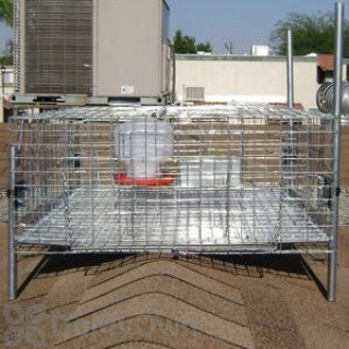 Bird Barrier Starling Trap (tt-st10)