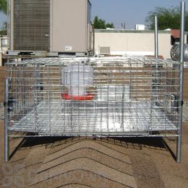 Pigeon Trap with Shade, Food & Water 35 x 16 x 8