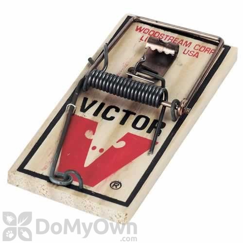 victor mouse trap review