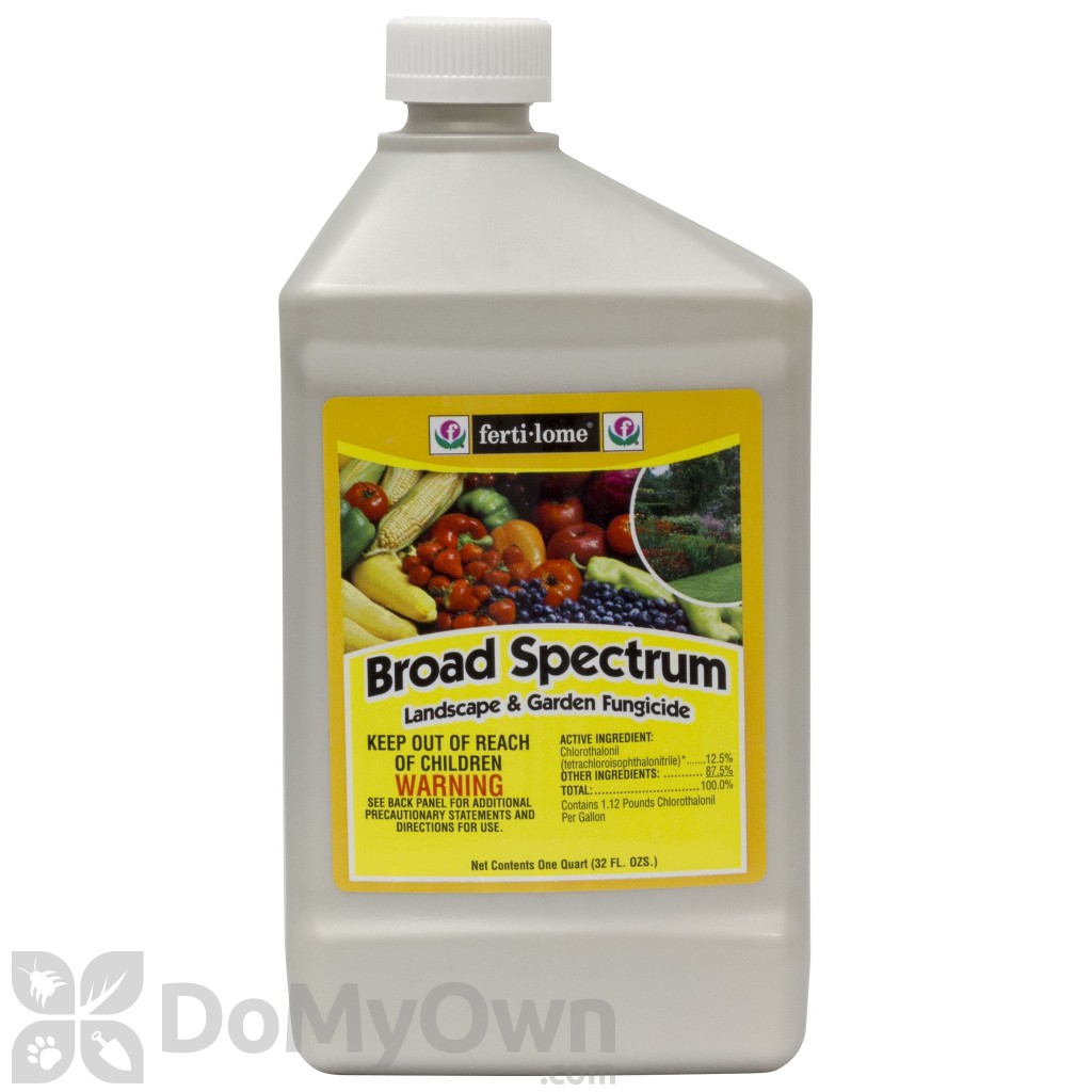 It is an image of Punchy Fertilome Chelated Liquid Iron Label It is a picture of Punchy Fertilome Chelated Liquid Iron Label