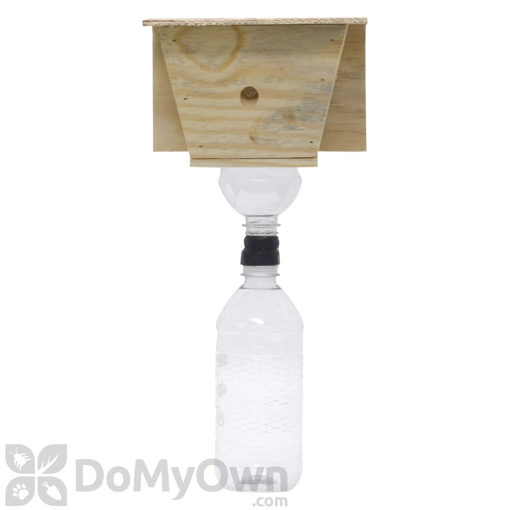 Carpenter Bee Trap