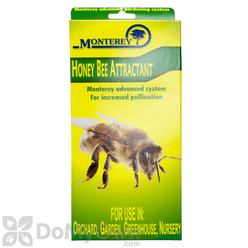 Honey Bee Attractant