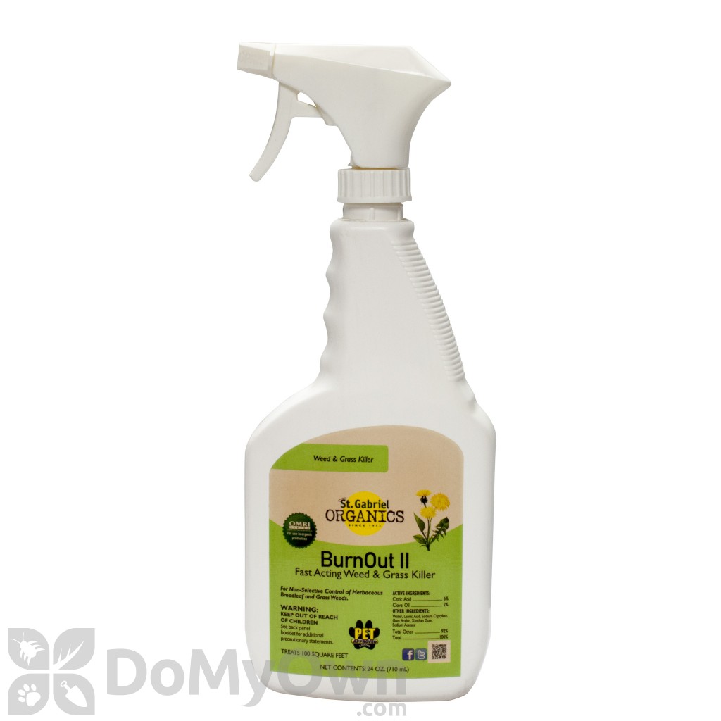 BurnOut Weed & Grass Killer RTU