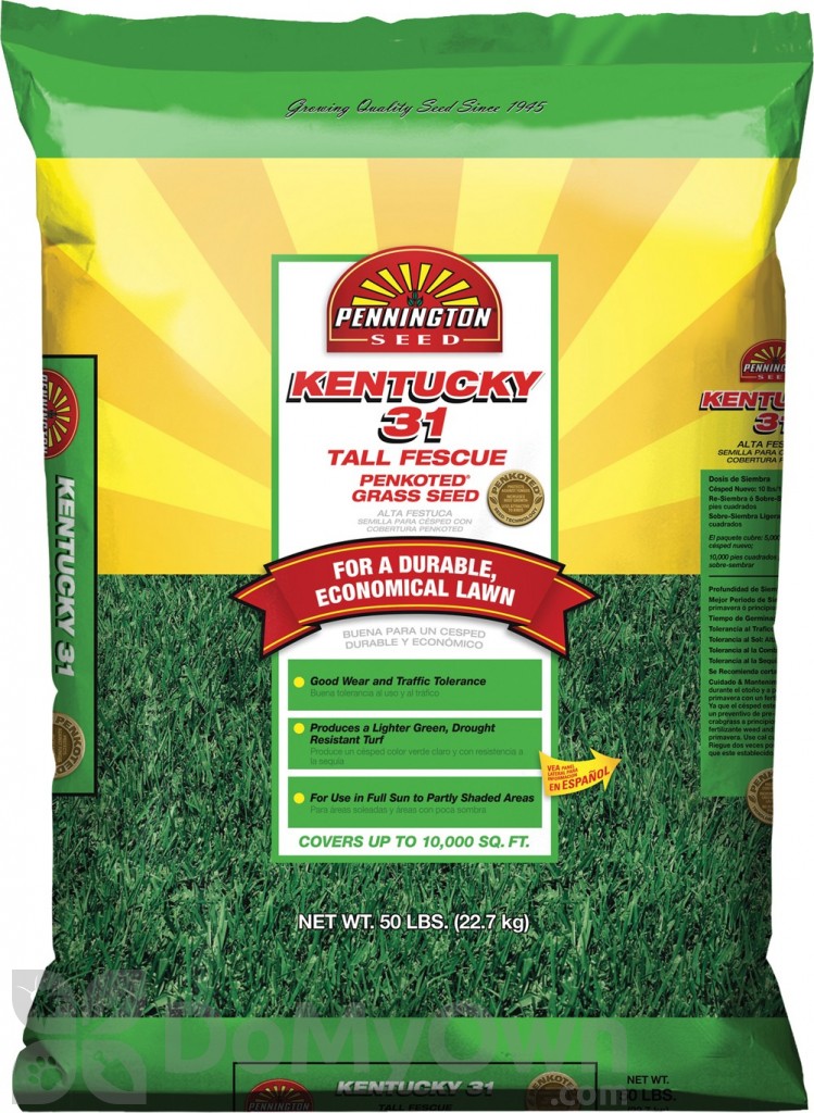 Pennington Kentucky 31 Tall Fescue Penkoted 10 lbs.