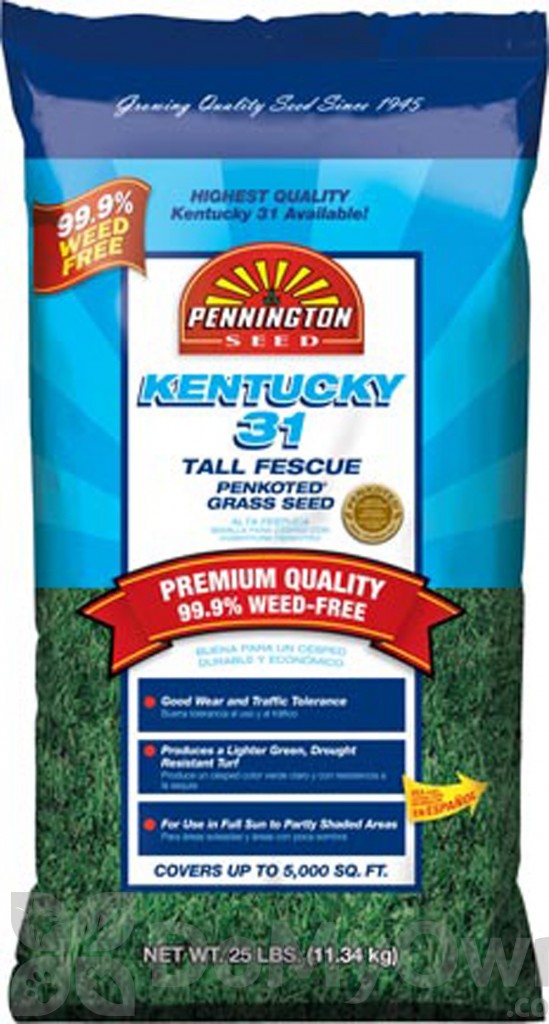 Pennington Kentucky 31 Tall Fescue 99.9 WF
