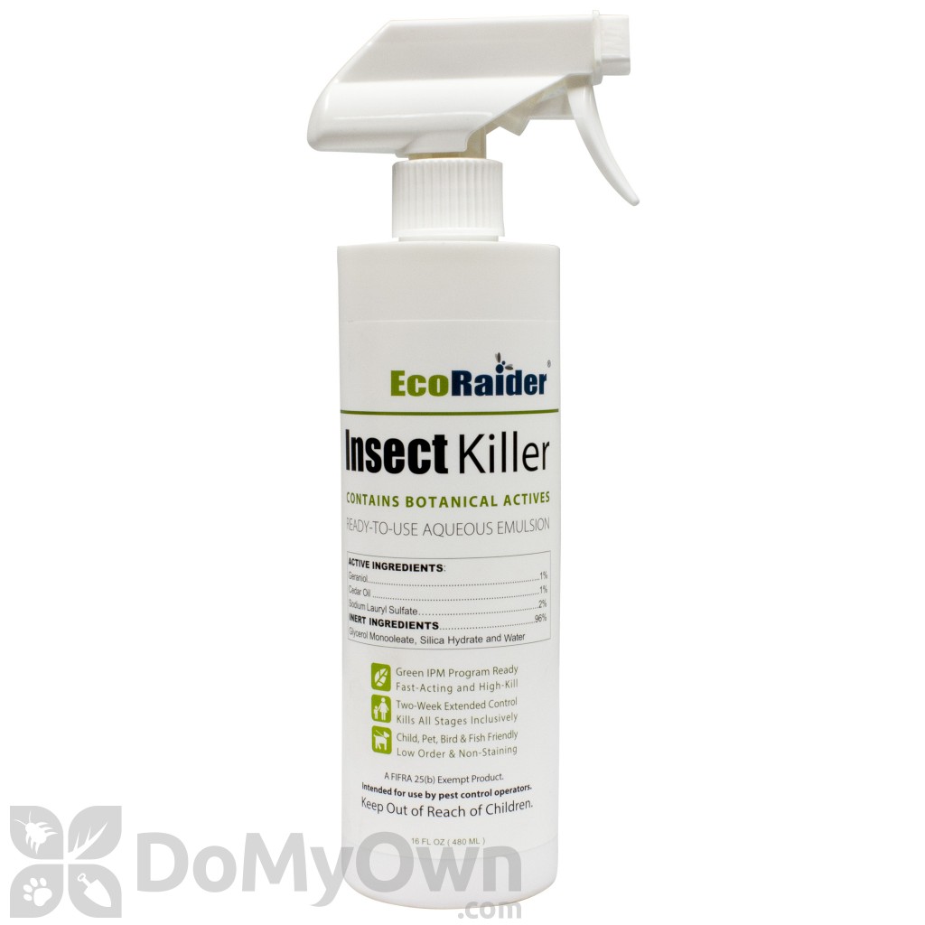 EcoRaider All Natural Bed Bug Killer Spray