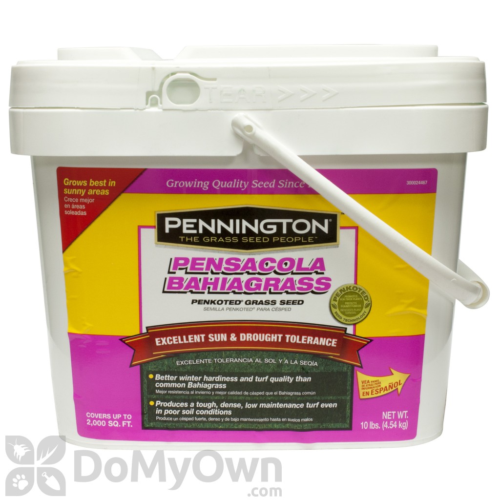 Pennington Pensacola Bahiagrass Penkoted Grass Seed