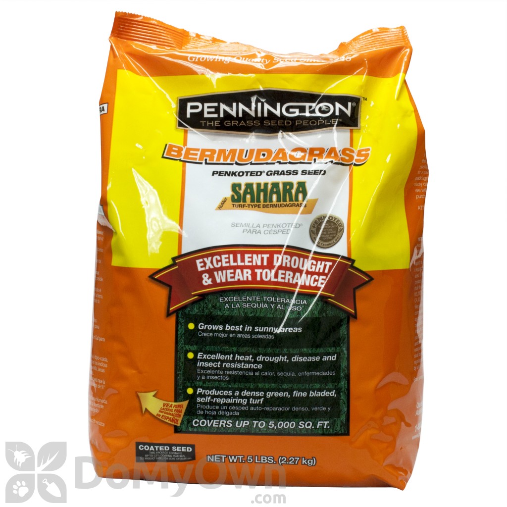 Pennington Sahara Bermudagrass 0367