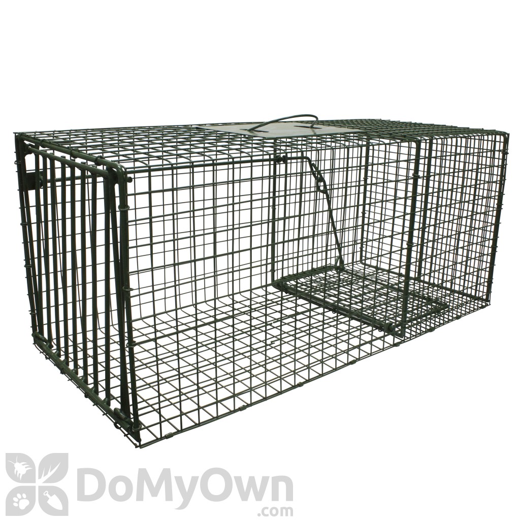 Duke Traps Heavy Duty Large Raccoon and Fox Trap (1114)