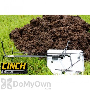 Singles in gopher or