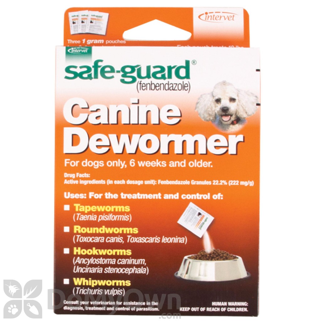 Safeguard For Dogs Reviews Safeguard For Dogs Reviews