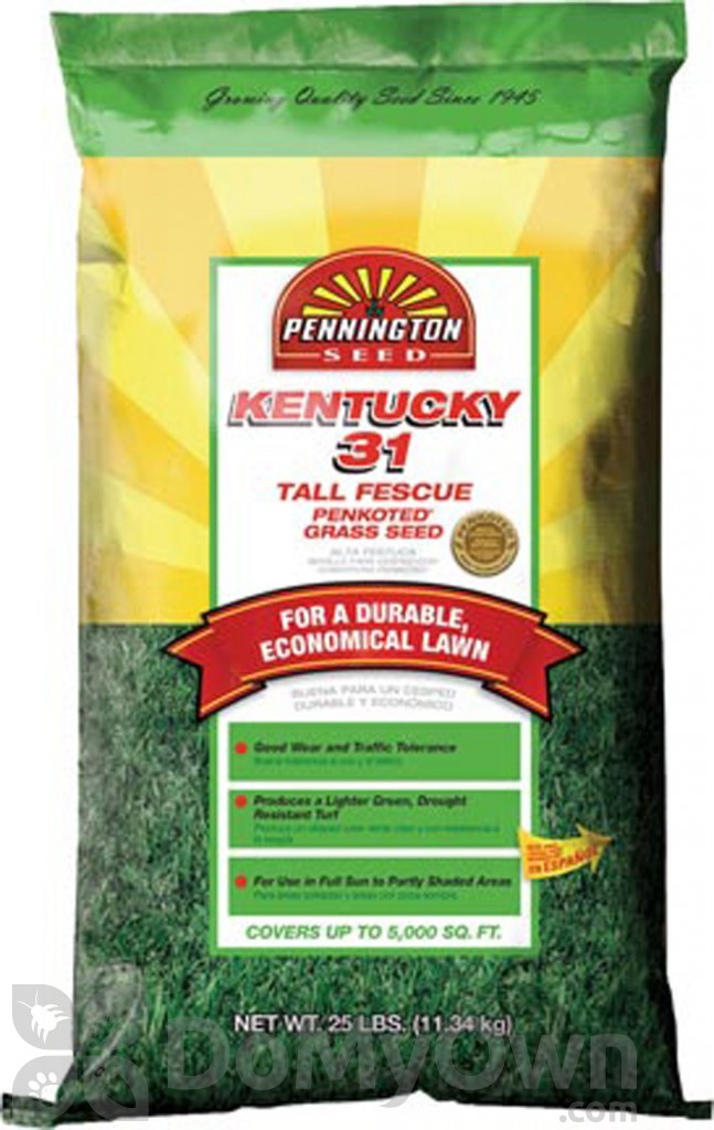 Pennington Kentucky 31 Tall Fescue Penkoted 10 lbs.